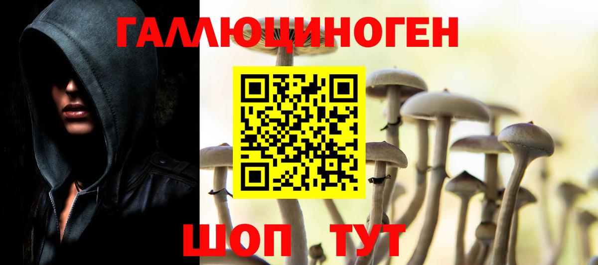 Курчалой  Псилоцибиновые грибы Magic Shrooms  наркошоп  Вход с VPN 