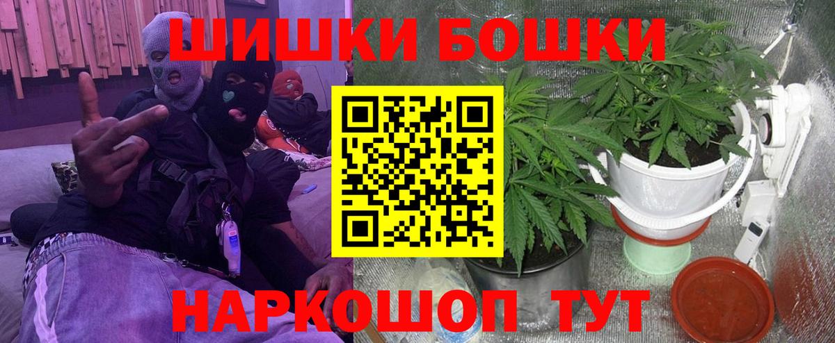 Курчалой  Конопля семена  Каннабис VHQ  Вход с VPN  Каннабис семена 